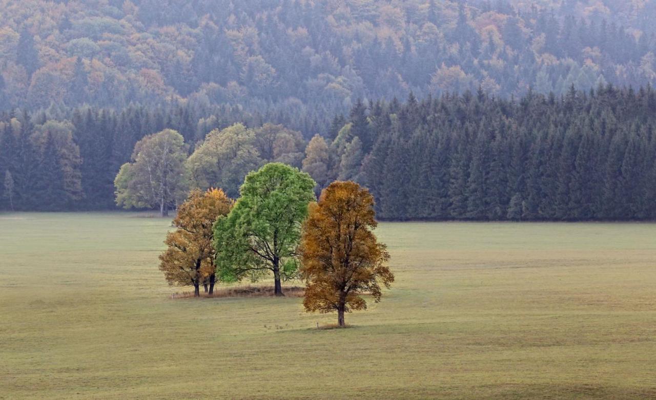 Przystanek Lasowka Exterior foto