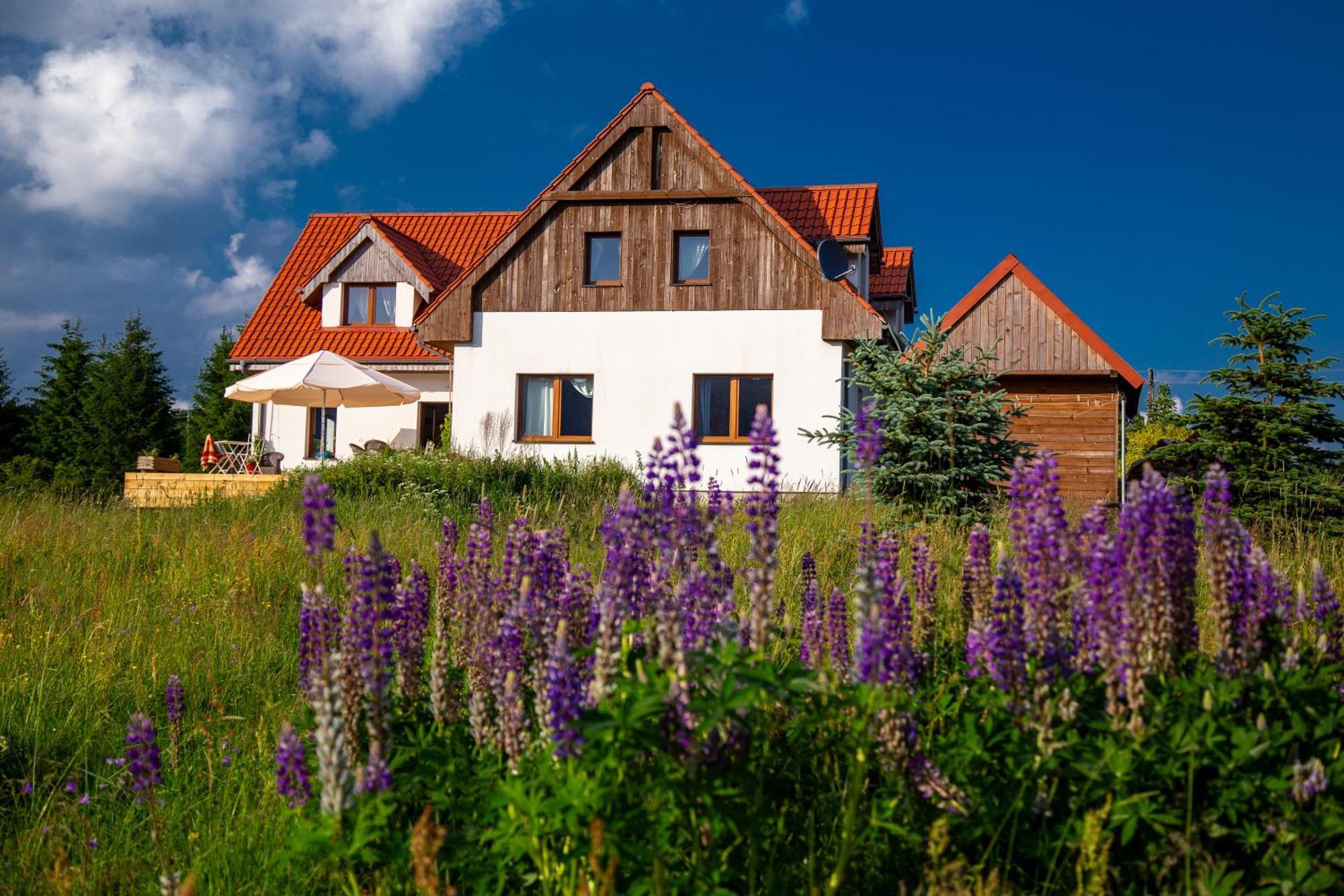Przystanek Lasowka Exterior foto